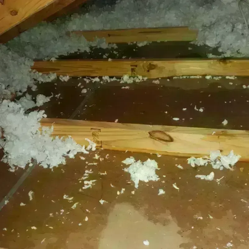 Attic Water Damage in Jauca, PR